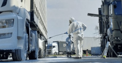 Livestock threat: Austria shuts 23 borders over FMD