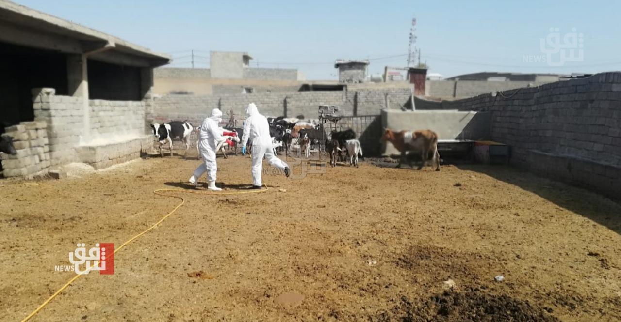 المثنى تسجل حالة وفاة ثانية يشتبه اصابتها بالحُمى النزفية