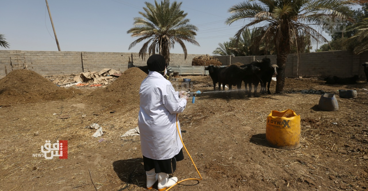CCHF: Iraq’s Nineveh registers 3rd case in a week