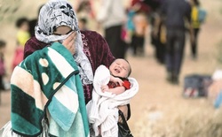 الأمم المتحدة تحدد هوية 160 داعشيا متورطين بقتل الايزيديين في العراق